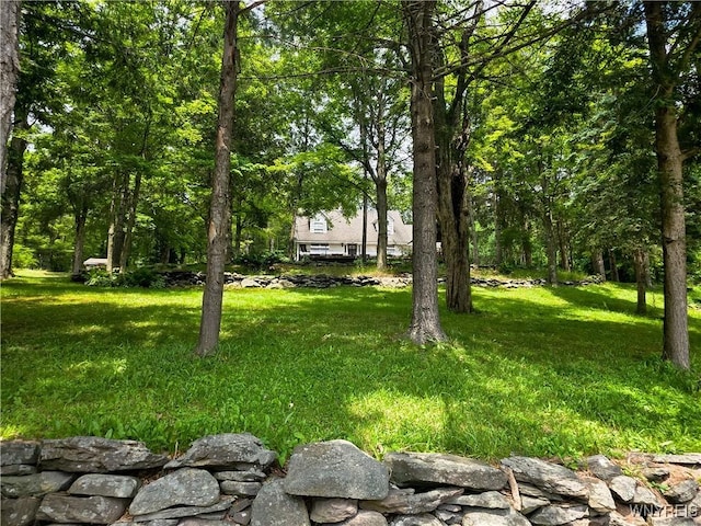 21 Prospect St, Stamford, NY 12167 - photo 2