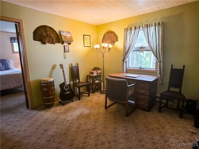 21 Prospect St, Stamford, NY 12167 - photo 17