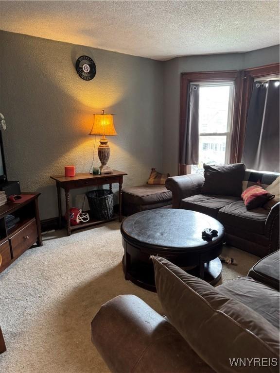 51 Ashton Pl, Buffalo, NY 14220 - carpeted living room with a textured ceiling
