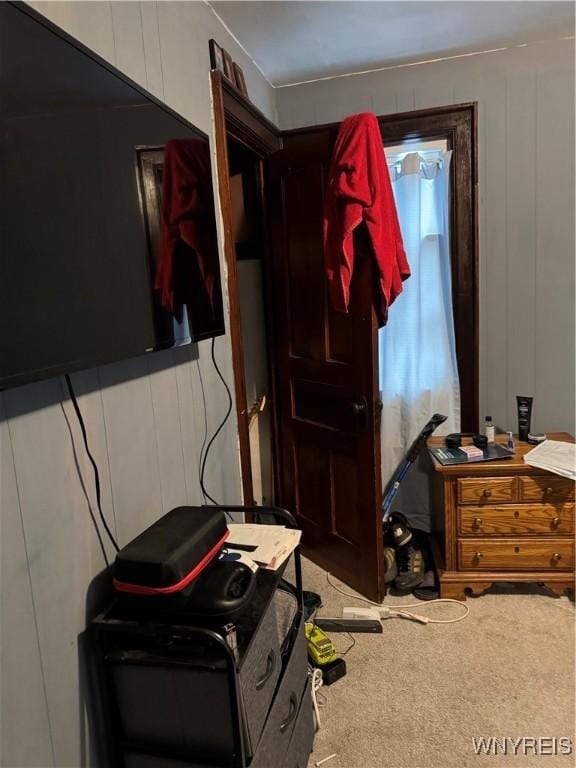 51 Ashton Pl, Buffalo, NY 14220 - bedroom with carpet floors