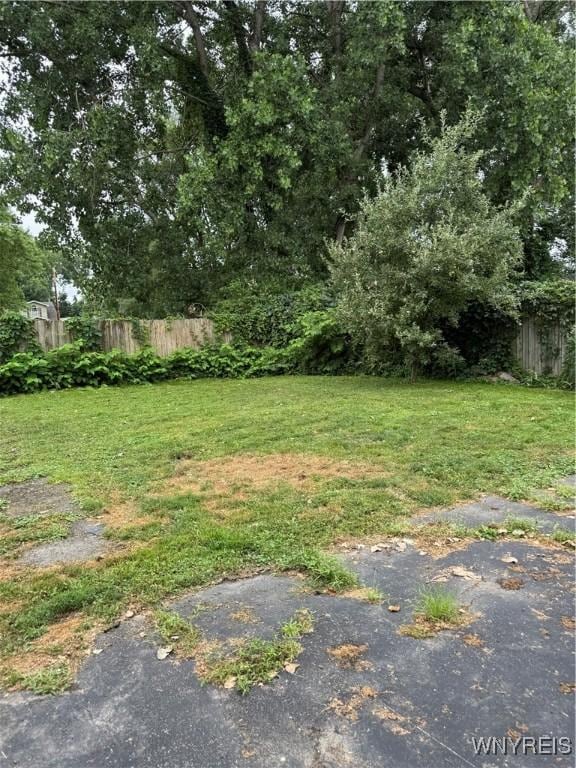 51 Ashton Pl, Buffalo, NY 14220 - view of yard
