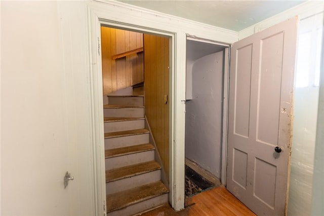 85 Brayton St, Buffalo, NY 14213 - photo 12