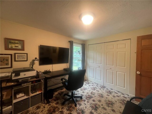 20 Pond Path, Oswego, NY 13126 - carpeted office featuring a textured ceiling