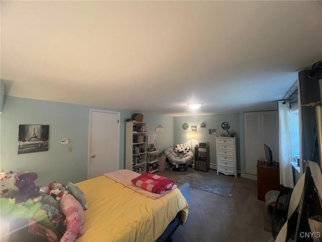 20 Pond Path, Oswego, NY 13126 - view of carpeted bedroom