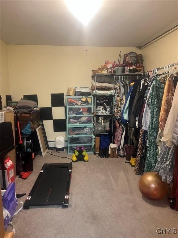 20 Pond Path, Oswego, NY 13126 - workout room featuring carpet flooring