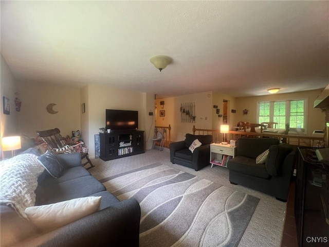 20 Pond Path, Oswego, NY 13126 - view of carpeted living room