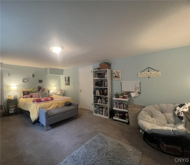 20 Pond Path, Oswego, NY 13126 - view of carpeted bedroom
