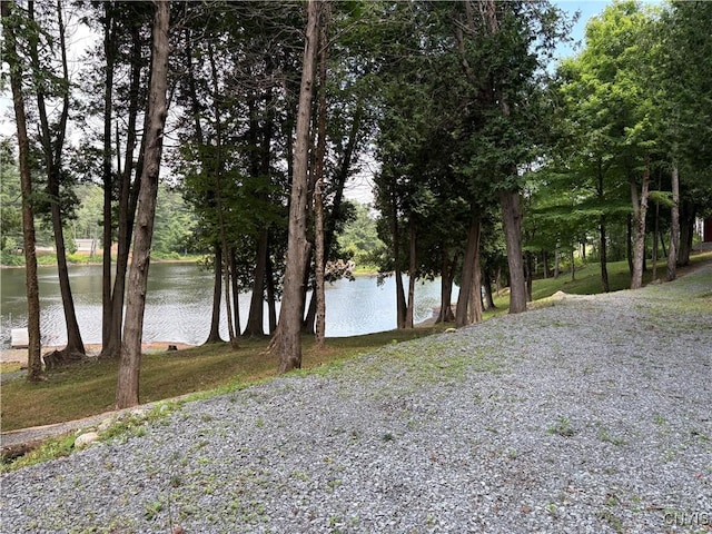 4279 Factory Rd, Diana, NY 13665 - photo 5