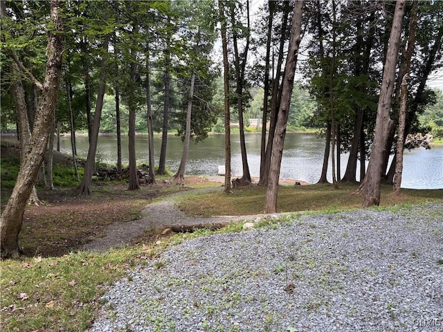 4279 Factory Rd, Diana, NY 13665 - photo 6