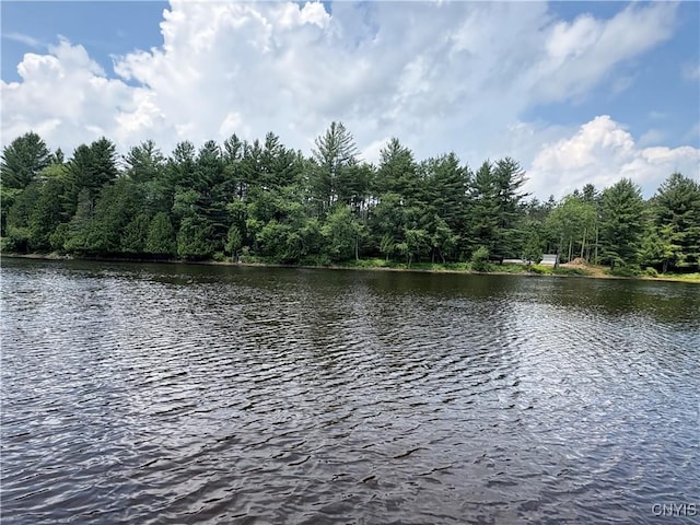 4279 Factory Rd, Diana, NY 13665 - photo 11