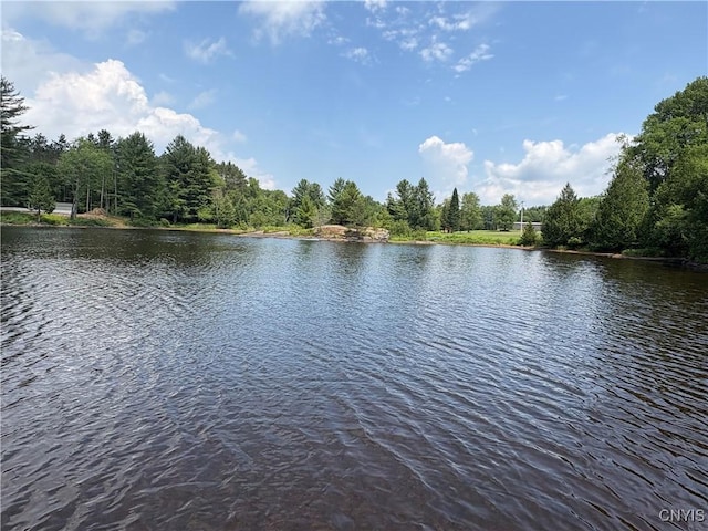 4279 Factory Rd, Diana, NY 13665 - photo 12