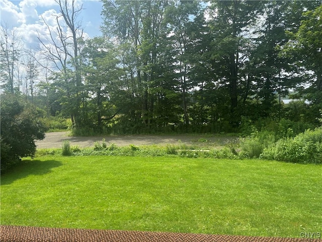 4743 Clarks Rd, Cincinnatus, NY 13040 - photo 43