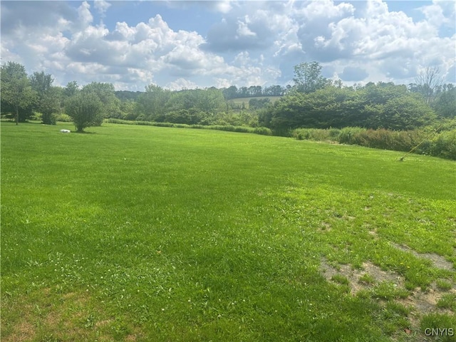 4743 Clarks Rd, Cincinnatus, NY 13040 - photo 44