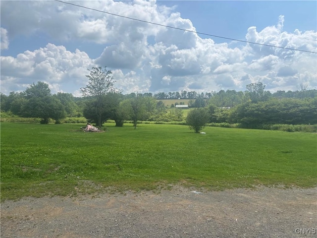 4743 Clarks Rd, Cincinnatus, NY 13040 - photo 49