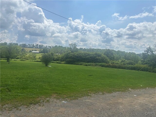 4743 Clarks Rd, Cincinnatus, NY 13040 - photo 50