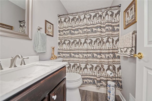 65 Sotheby Dr, Greece, NY 14626 - bathroom featuring vanity, wood finished floors, and a shower with curtain