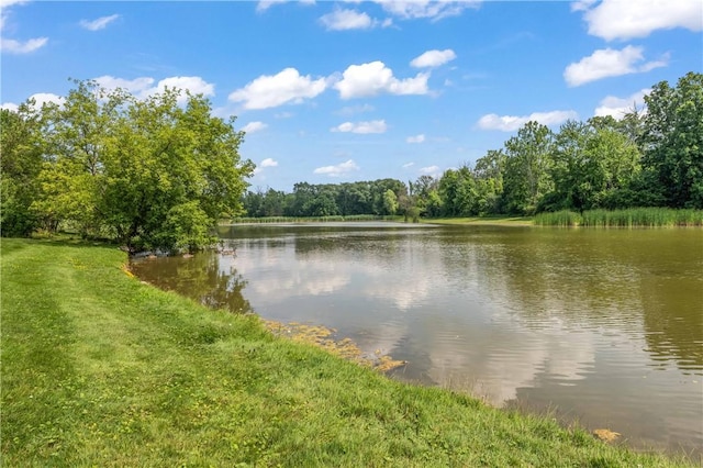 65 Sotheby Dr, Greece, NY 14626 - water view featuring a forest