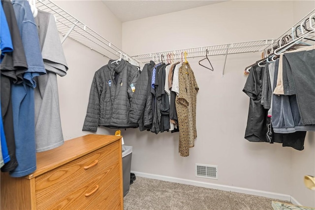 65 Sotheby Dr, Greece, NY 14626 - walk in closet featuring carpet floors