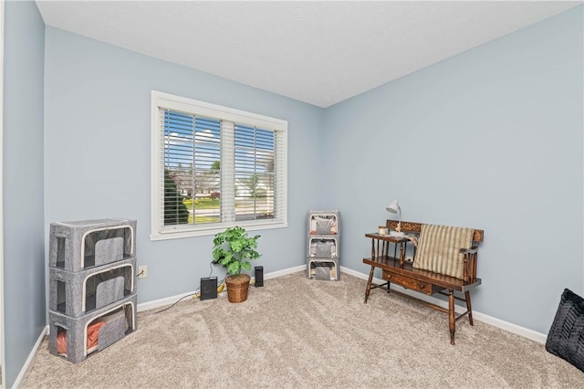 65 Sotheby Dr, Greece, NY 14626 - sitting room featuring carpet and baseboards