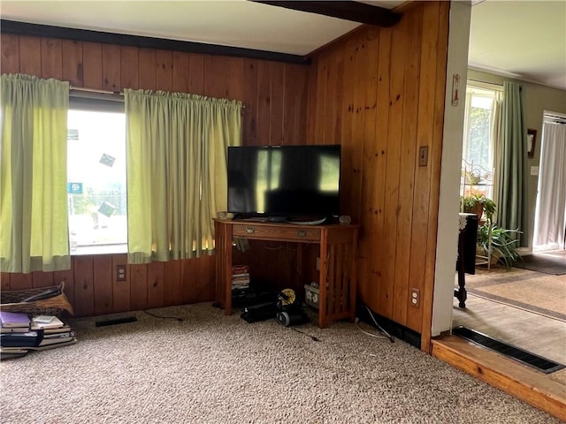 4 Crescent Dr, Newfield, NY 14867 - photo 10