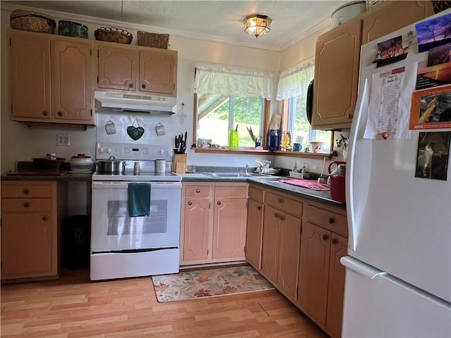 4 Crescent Dr, Newfield, NY 14867 - photo 11
