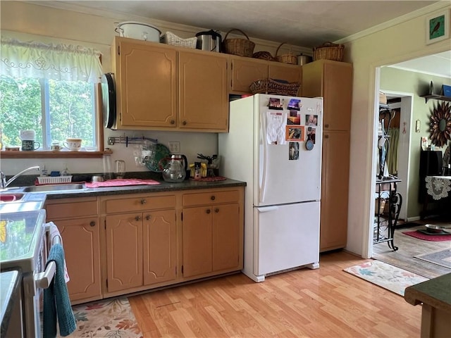 4 Crescent Dr, Newfield, NY 14867 - photo 13