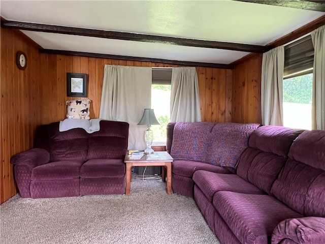 4 Crescent Dr, Newfield, NY 14867 - photo 7