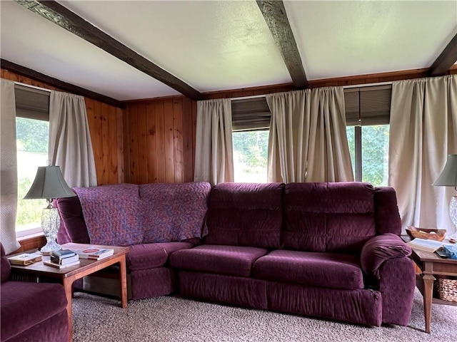 4 Crescent Dr, Newfield, NY 14867 - photo 8