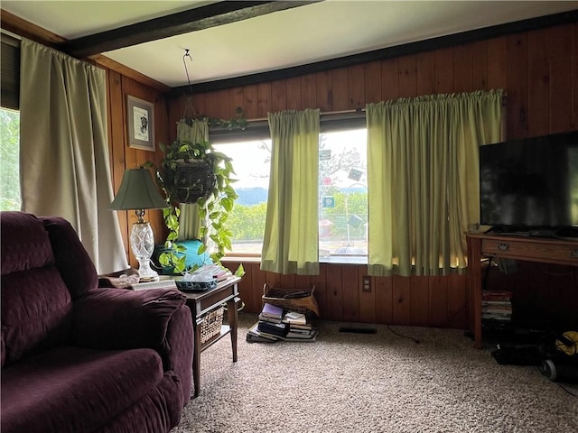 4 Crescent Dr, Newfield, NY 14867 - photo 9