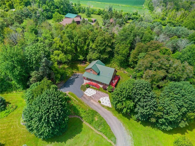 629 Filkins Rd, Arcadia, NY 14513 - photo 38