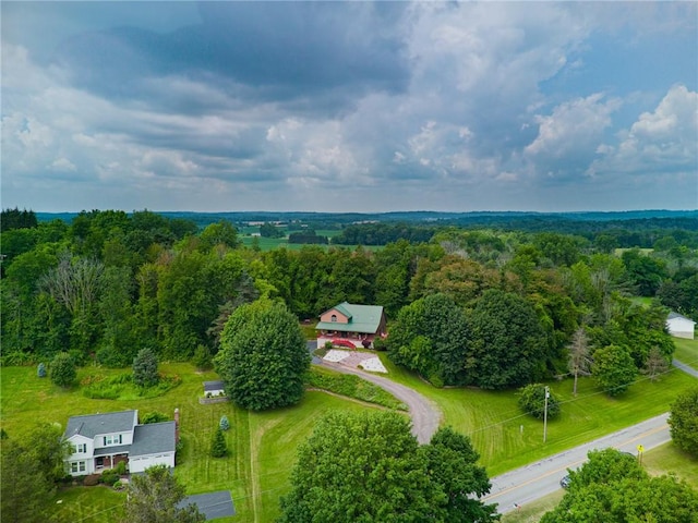 629 Filkins Rd, Arcadia, NY 14513 - photo 42