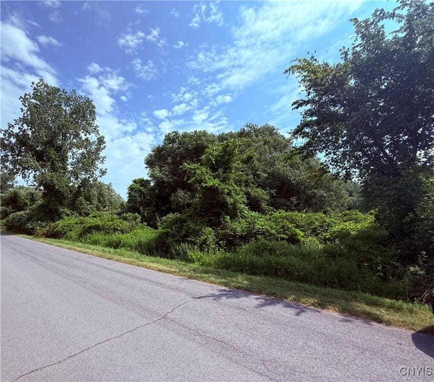 19124 S Shore Rd, Lyme, NY 13693