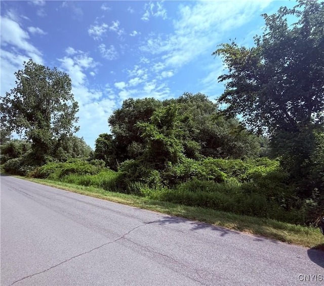 19124 S Shore Rd, Lyme, NY 13693