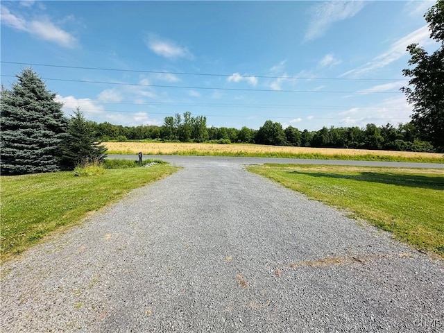 3370 Hicks Rd, Scipio, NY 13118 - view of road