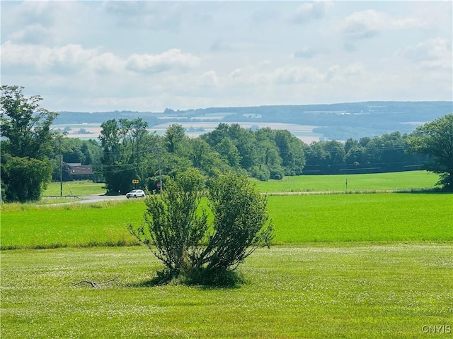 3370 Hicks Rd, Scipio, NY 13118 - view of mountain backdrop with rural landscape