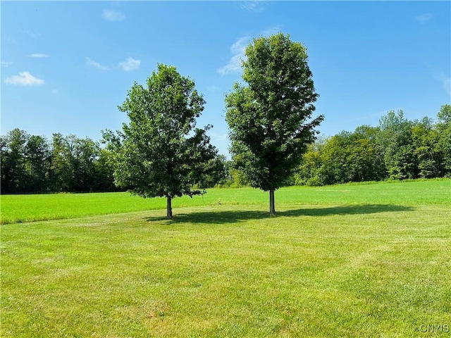 3370 Hicks Rd, Scipio, NY 13118 - view of home's community with a yard
