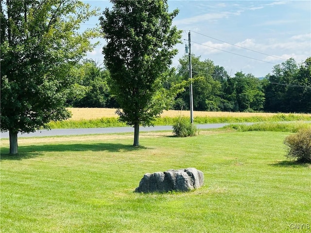 3370 Hicks Rd, Scipio, NY 13118 - view of green lawn