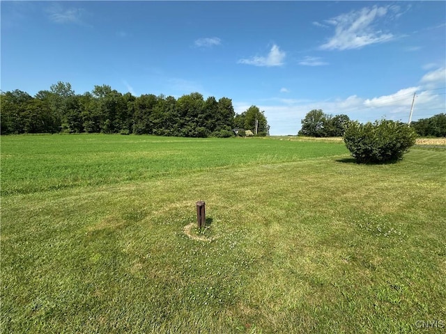 3370 Hicks Rd, Scipio, NY 13118 - view of grassy yard with a rural view