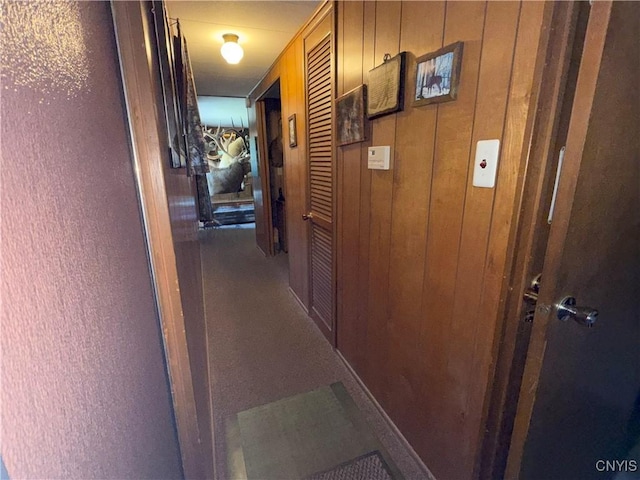209 Lackawack Hill Rd, Wawarsing, NY 12458 - hallway featuring wood walls