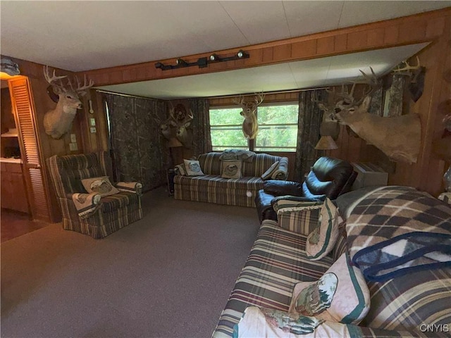 209 Lackawack Hill Rd, Wawarsing, NY 12458 - living room featuring wood walls and carpet floors