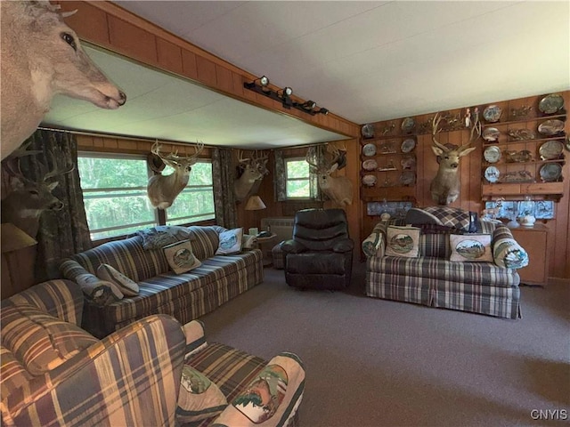 209 Lackawack Hill Rd, Wawarsing, NY 12458 - carpeted living room featuring wood walls