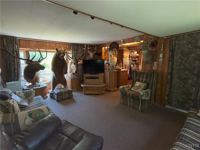 209 Lackawack Hill Rd, Wawarsing, NY 12458 - carpeted living room featuring wooden walls