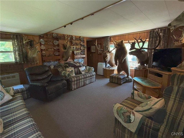 209 Lackawack Hill Rd, Wawarsing, NY 12458 - living room featuring carpet flooring, wood walls, and a wall mounted air conditioner