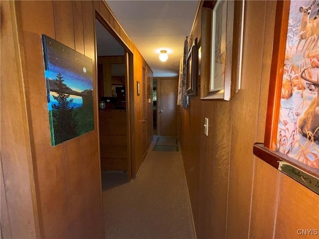 209 Lackawack Hill Rd, Wawarsing, NY 12458 - hallway with wooden walls