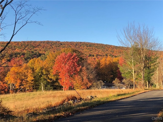 209 Lackawack Hill Rd, Wawarsing, NY 12458 - mountain view featuring a forest