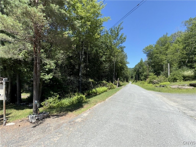 209 Lackawack Hill Rd, Wawarsing, NY 12458 - view of asphalt street featuring a forest view