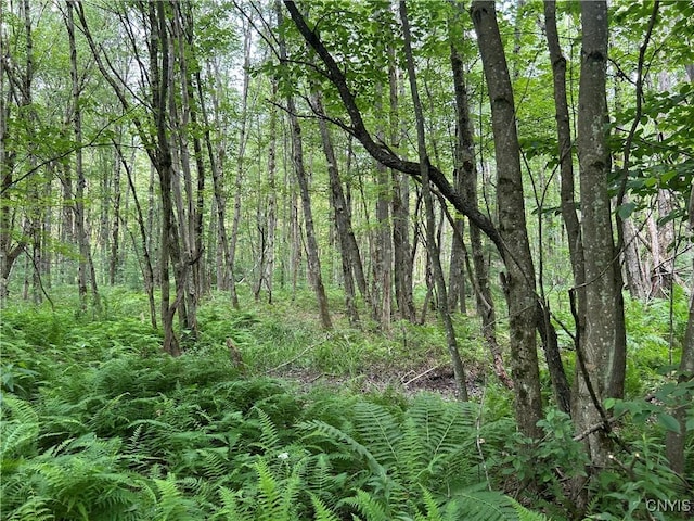 42 Kimball Camp Rd, Orwell, NY 13144 - photo 1
