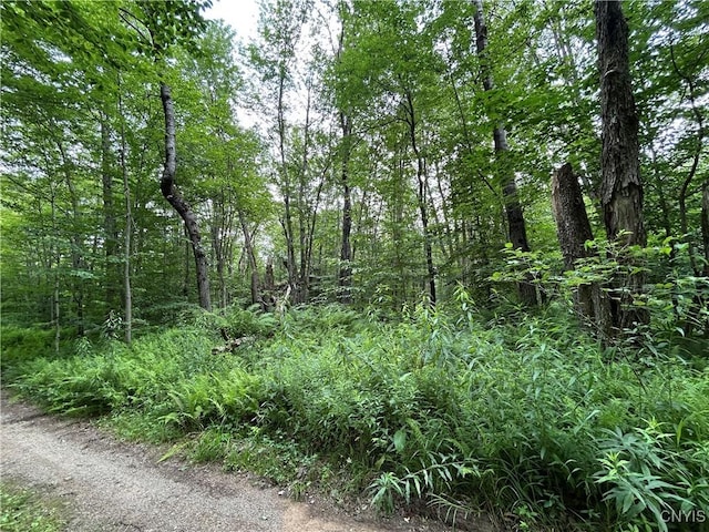 42 Kimball Camp Rd, Orwell, NY 13144 - photo 2
