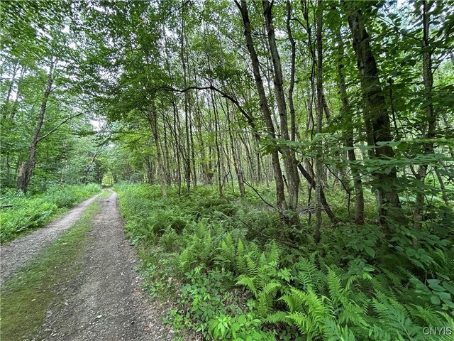 42 Kimball Camp Rd, Orwell, NY 13144 - photo 5