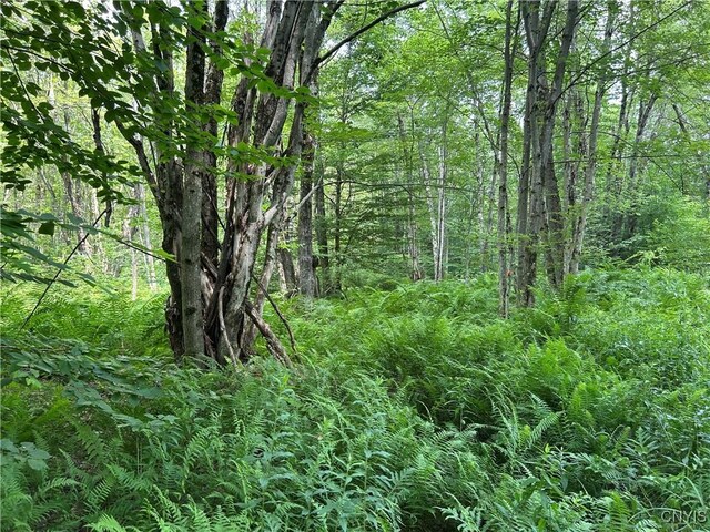 42 Kimball Camp Rd, Orwell, NY 13144 - photo 6